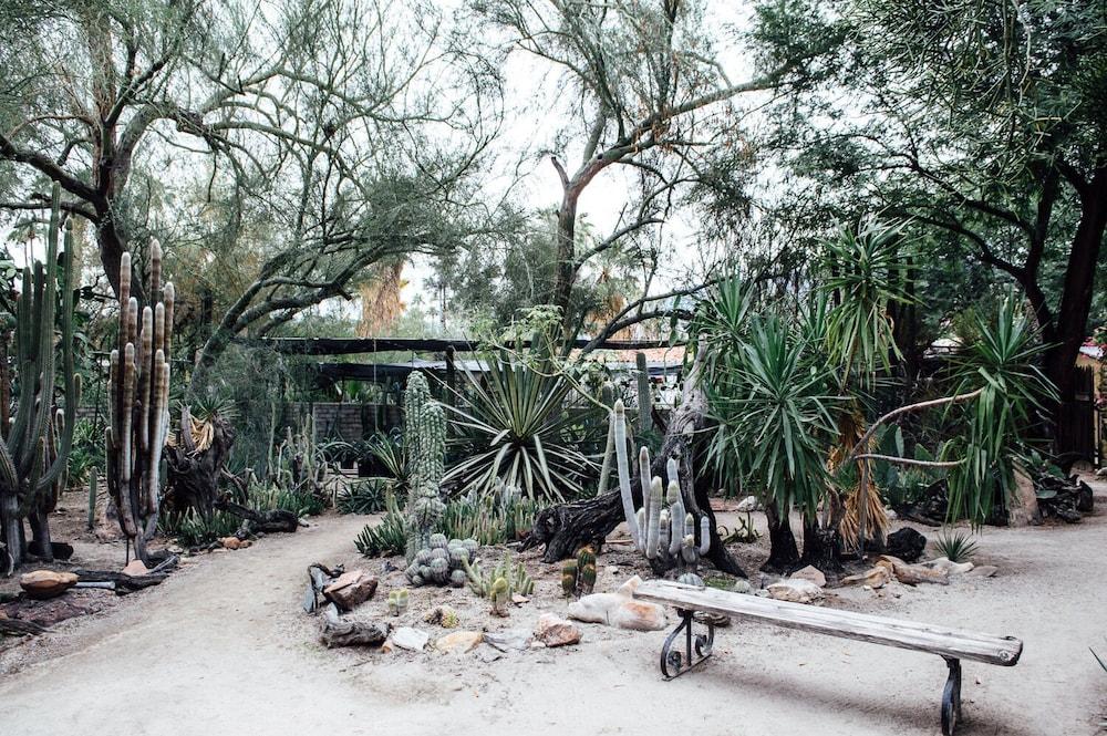 Desert Lodge Palm Springs Dış mekan fotoğraf
