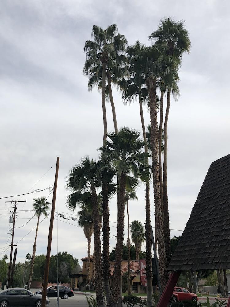 Desert Lodge Palm Springs Dış mekan fotoğraf