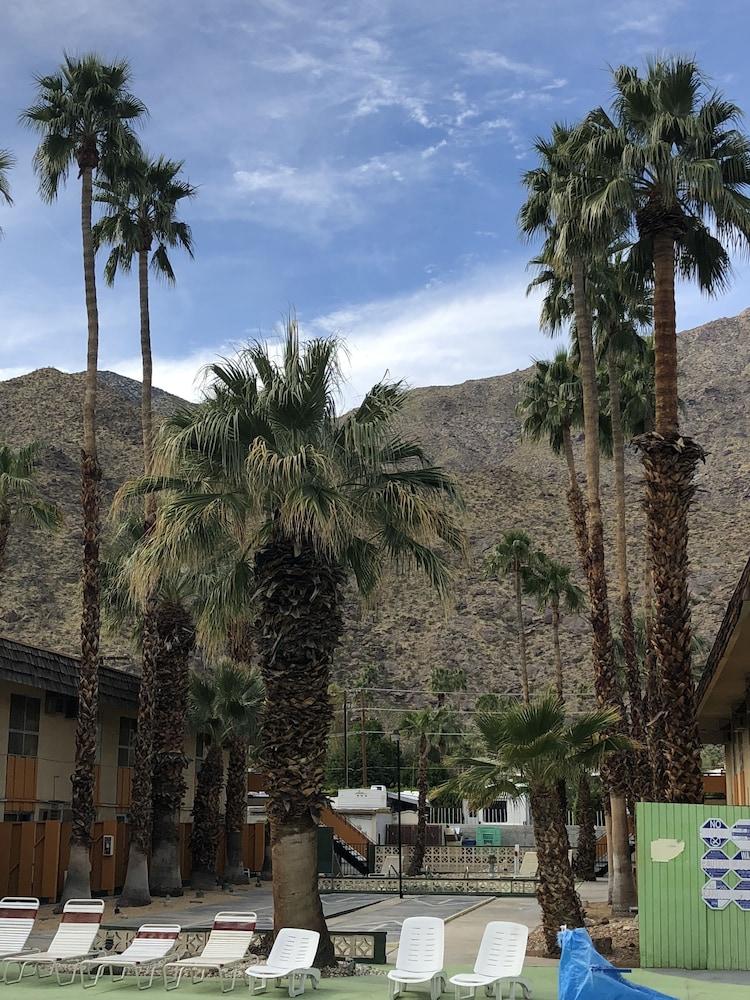 Desert Lodge Palm Springs Dış mekan fotoğraf