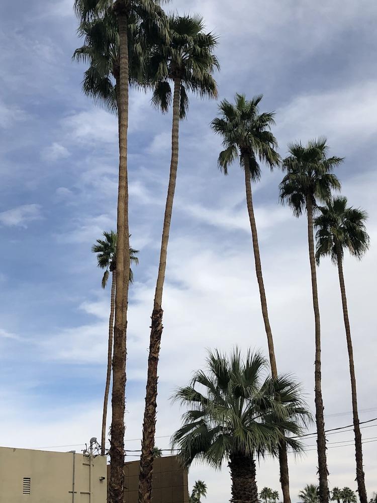 Desert Lodge Palm Springs Dış mekan fotoğraf