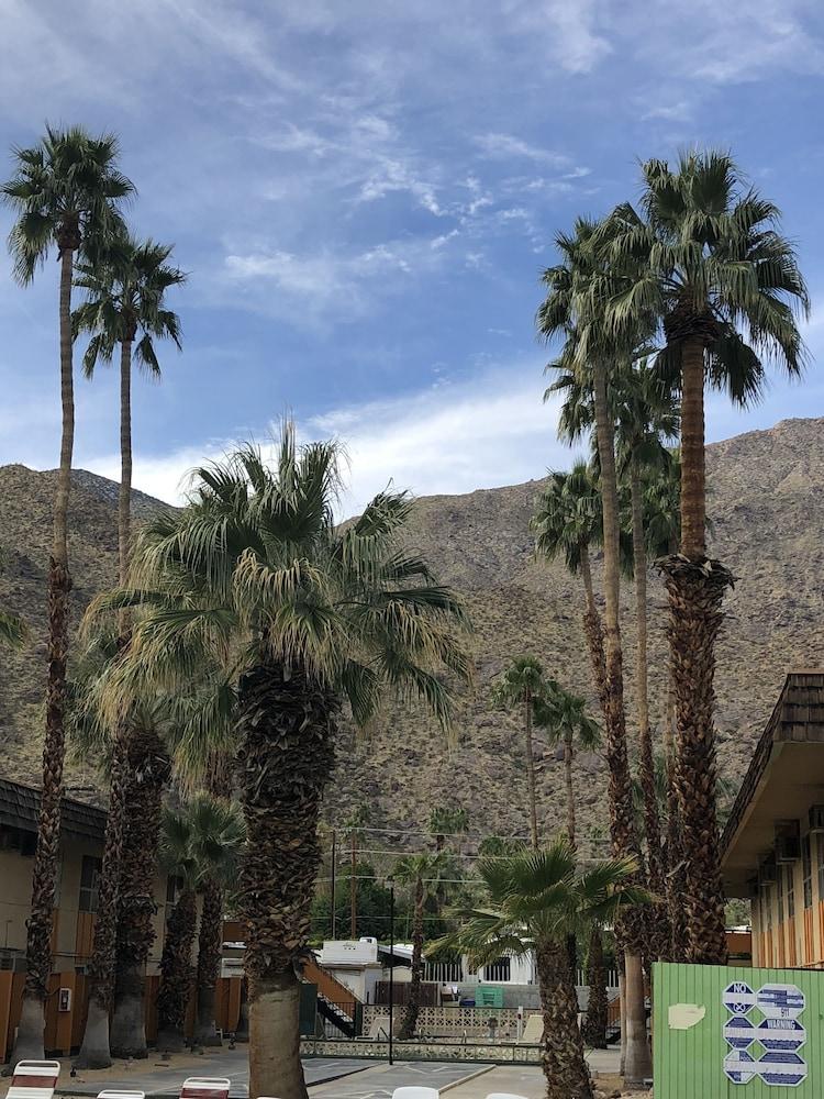 Desert Lodge Palm Springs Dış mekan fotoğraf